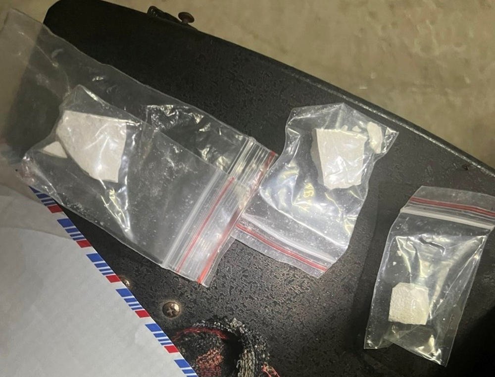 Bắt giữ cụ bà Ngô Thị Thu, 70 tuổi - ảnh 2