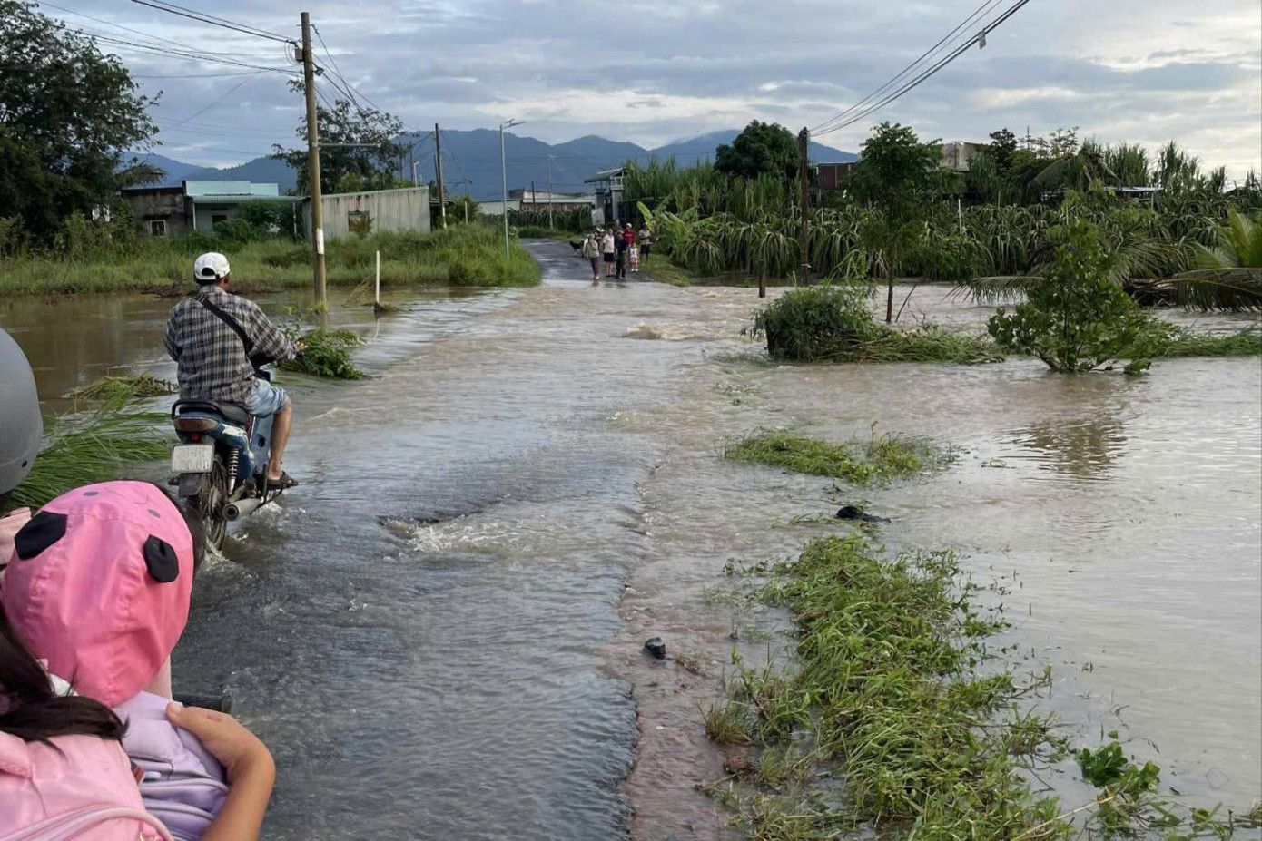 Nhiều tuyến đường ngập sâu ở Lâm Đồng. Nhiều tuyến đường ngập sâu ở Lâm Đồng.