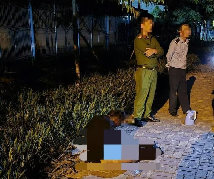 Nam thanh niên bị bỏng nặng khi trộm cáp đường dây điện 22kv - ảnh 1