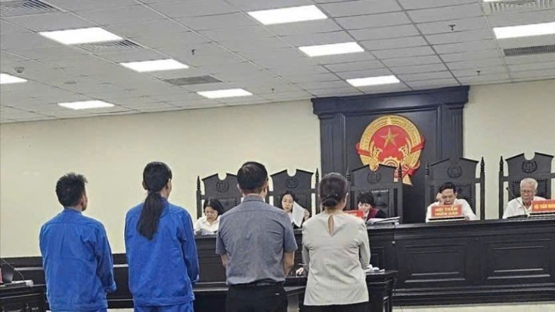 Tuyên phạt Giám đốc Vương Anh Thư 14 năm tù - ảnh 1