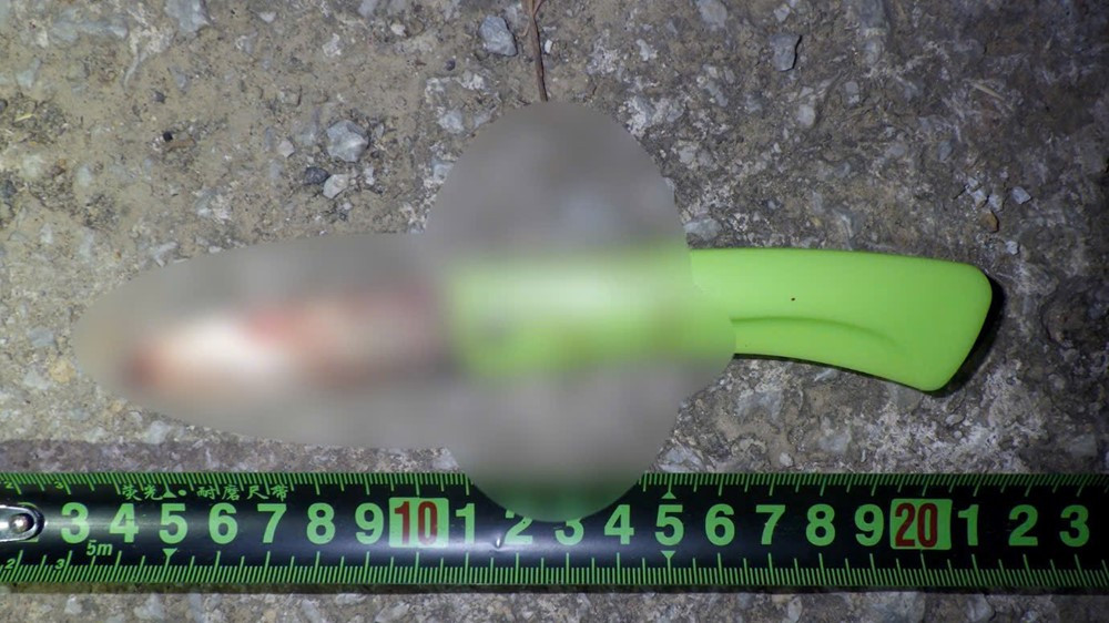 Nghi ngờ bị lừa bán, 4 người nước ngoài nhập cảnh trái phép ra tay với tài xế taxi - ảnh 2