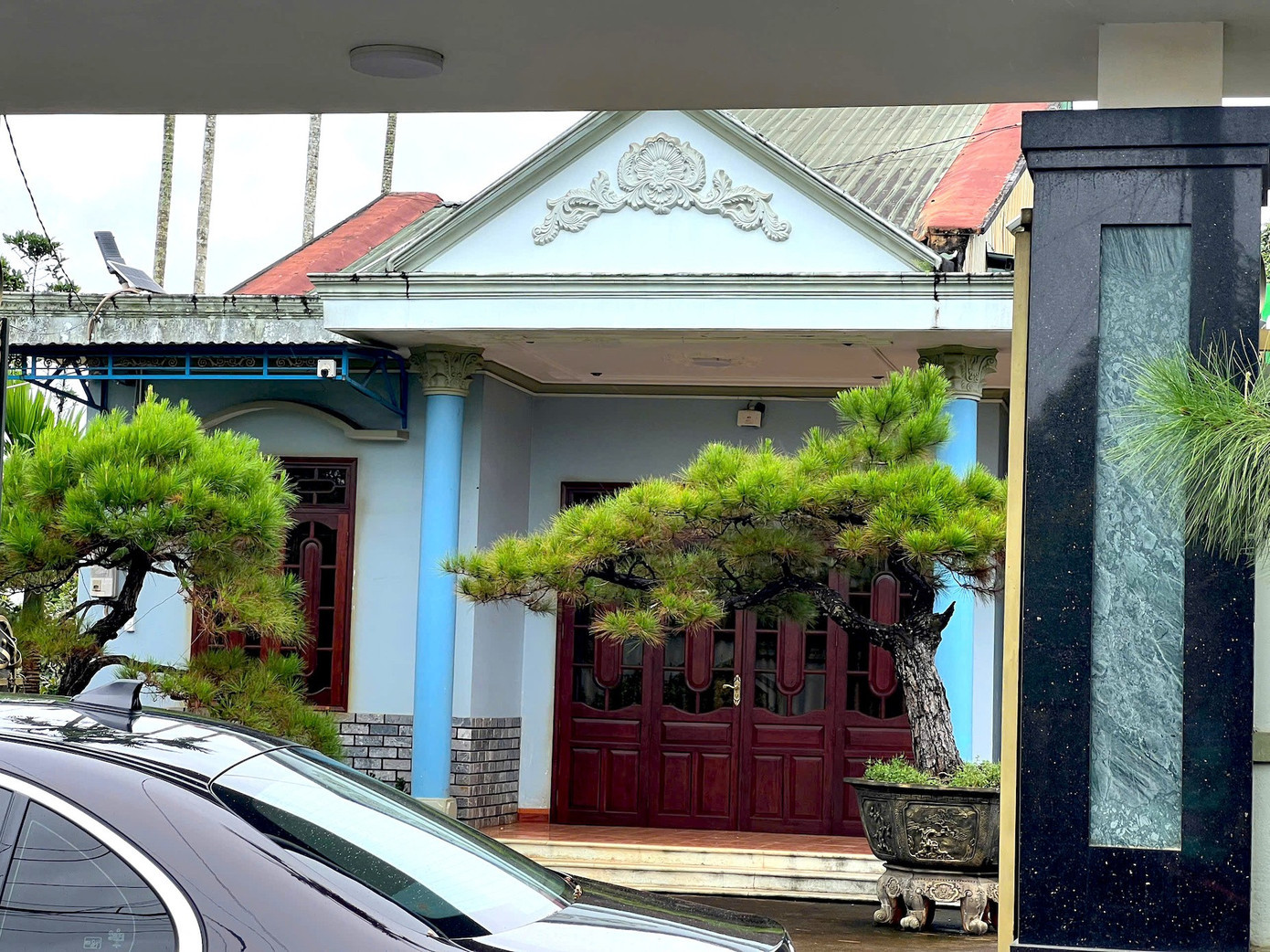 Bên trong căn nhà là những cây cảnh giá trị. 12.jpg