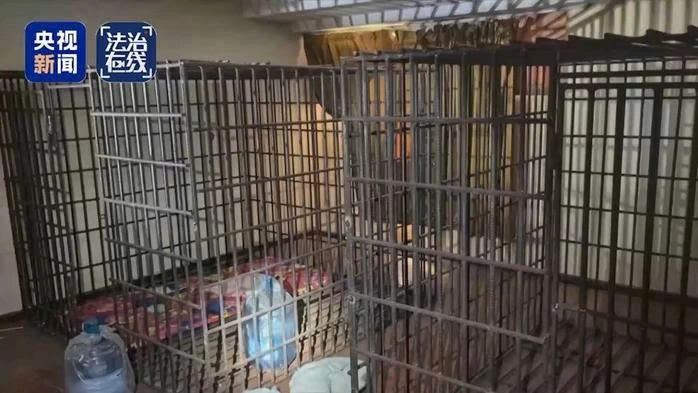 ‘Tứ đại gia tộc’ đứng sau mạng lưới lừa đảo thao túng cả Đông Nam Á - ảnh 4