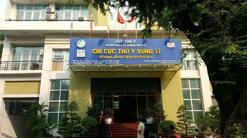 Đề nghị truy tố vợ chồng đại gia Việt bị truy nã quốc tế - ảnh 1