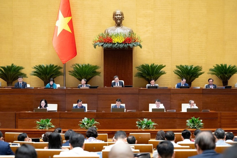 ĐBQH đề xuất công nhận liệt sĩ với nhân viên y tế hi sinh khi làm nhiệm vụ - ảnh 1