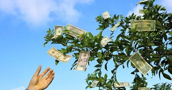 Một doanh nghiệp chốt quyền chia cổ tức tiền mặt 12,5%