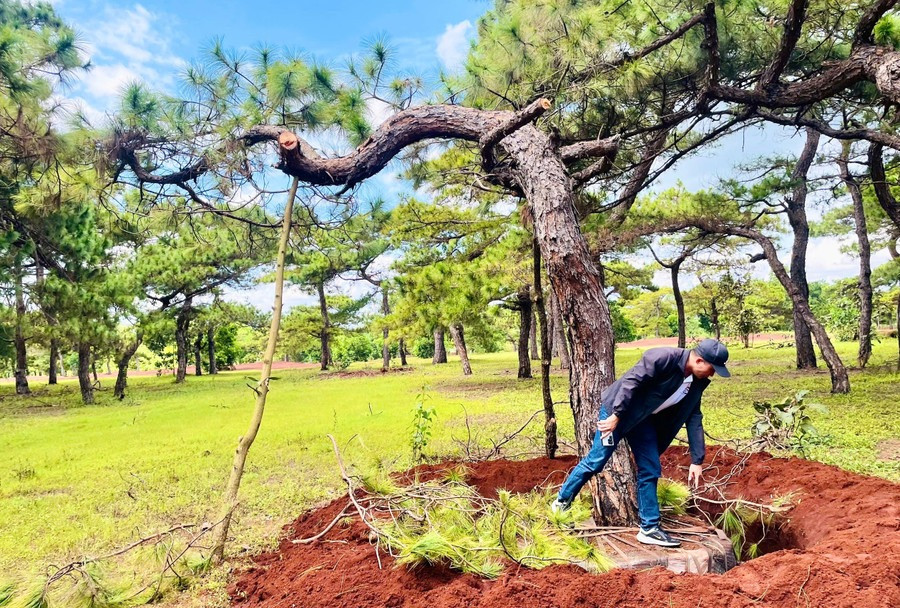 Gia Lai chỉ đạo nóng về dự án 2.800 tỷ của Tập đoàn FLC- Ảnh 1. Gia Lai chỉ đạo nóng về dự án 2.800 tỷ của Tập đoàn FLC- Ảnh 1.