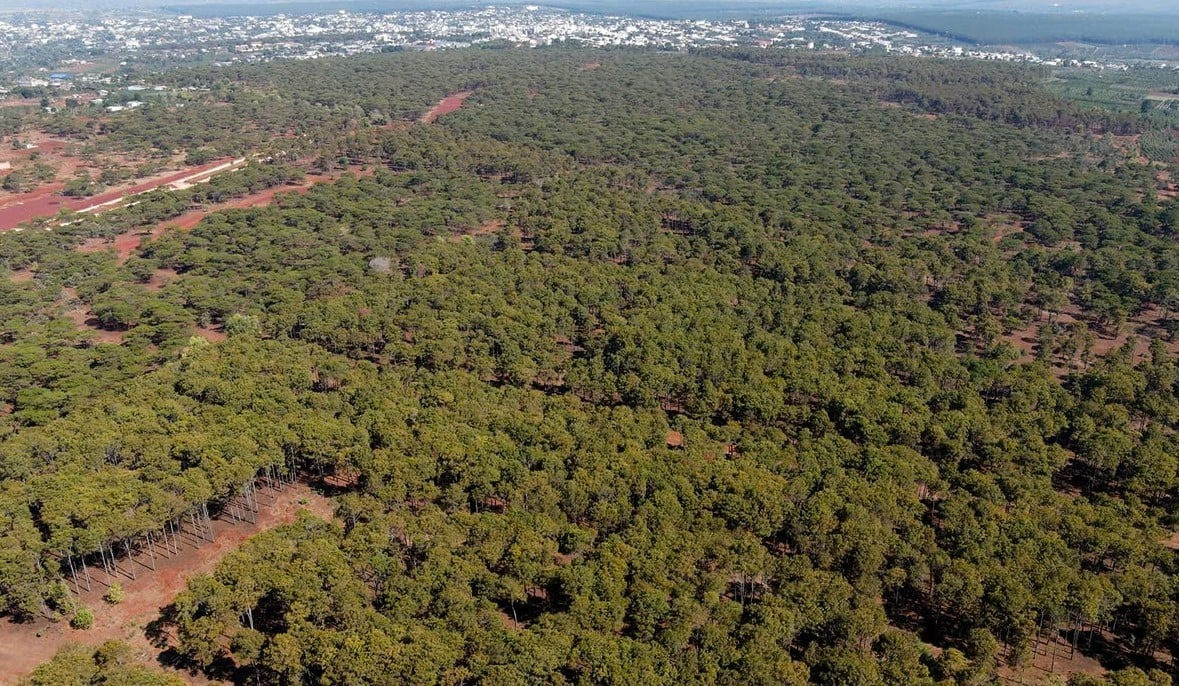 Gia Lai chỉ đạo nóng về dự án 2.800 tỷ của Tập đoàn FLC- Ảnh 2. Gia Lai chỉ đạo nóng về dự án 2.800 tỷ của Tập đoàn FLC- Ảnh 2.