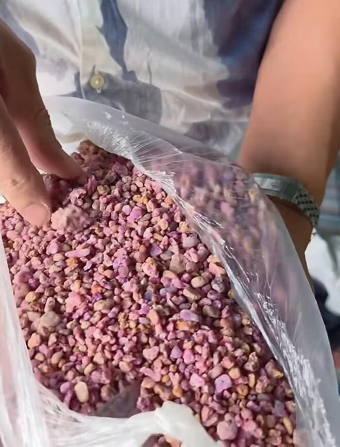 Thay áo mới cho căn biệt thự 3 mặt tiền đắt đỏ, vợ chồng diễn viên Mạnh Trường hé lộ về bí quyết phong thủy- Ảnh 4. Thay áo mới cho căn biệt thự 3 mặt tiền đắt đỏ, vợ chồng diễn viên Mạnh Trường hé lộ về bí quyết phong thủy- Ảnh 4.