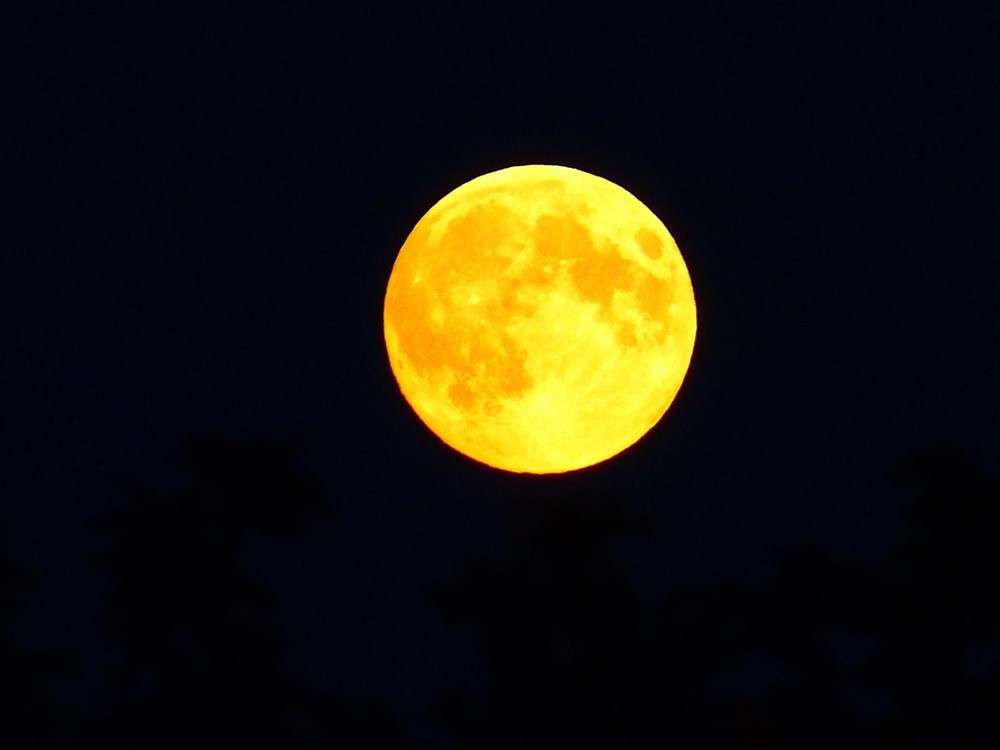 3 ngày nữa, hàng triệu người sẽ được xem ‘siêu trăng hải ly’ lớn nhất 2025 - ảnh 2