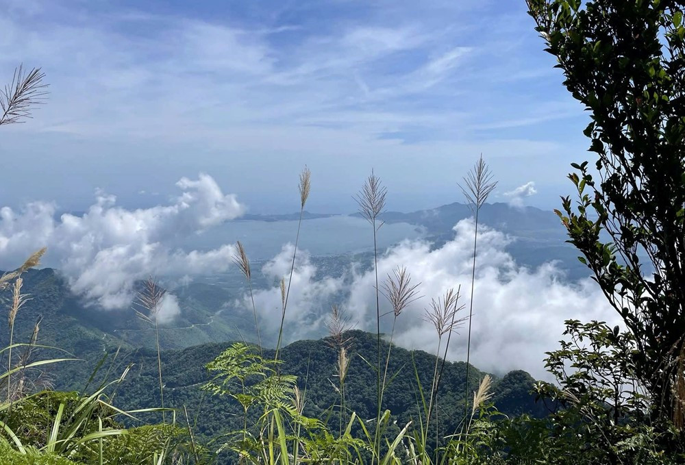 Đỉnh núi cao 1.400m của Việt Nam là nơi mưa lớn thứ hai thế giới, được ví như 'Đà Lạt của miền Trung' - ảnh 4