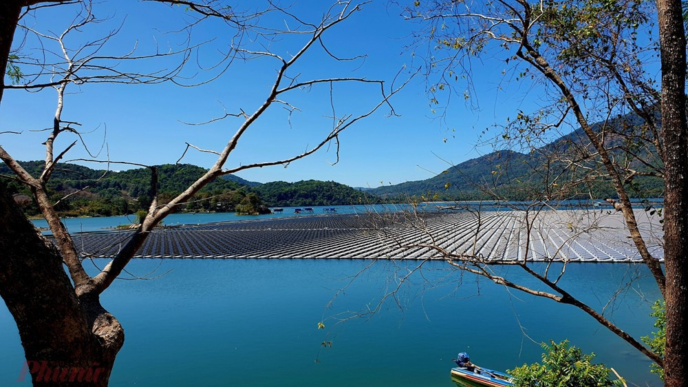 Hồ nước ngọt cách TP. Hồ Chí Minh 200km được mệnh danh là 'Vịnh Hạ Long thu nhỏ', có cả Hoa Quả Sơn như phim Tây Du Ký - ảnh 4