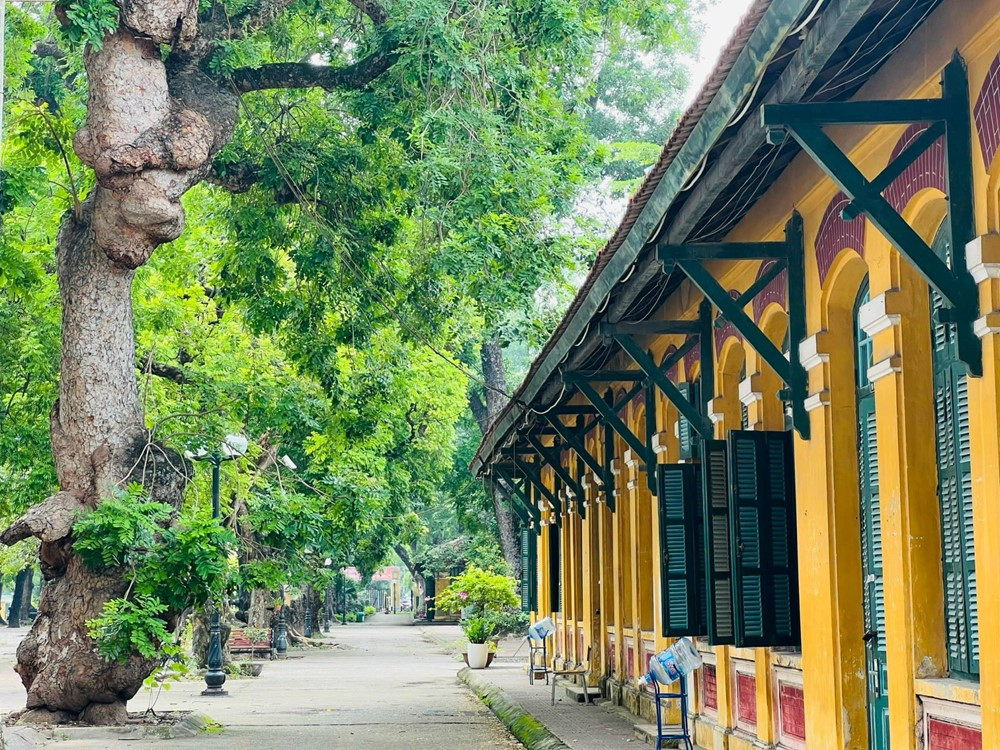 Trước Lê Quý Đôn, đây là 8 danh nhân Việt Nam được UNESCO vinh danh - ảnh 4