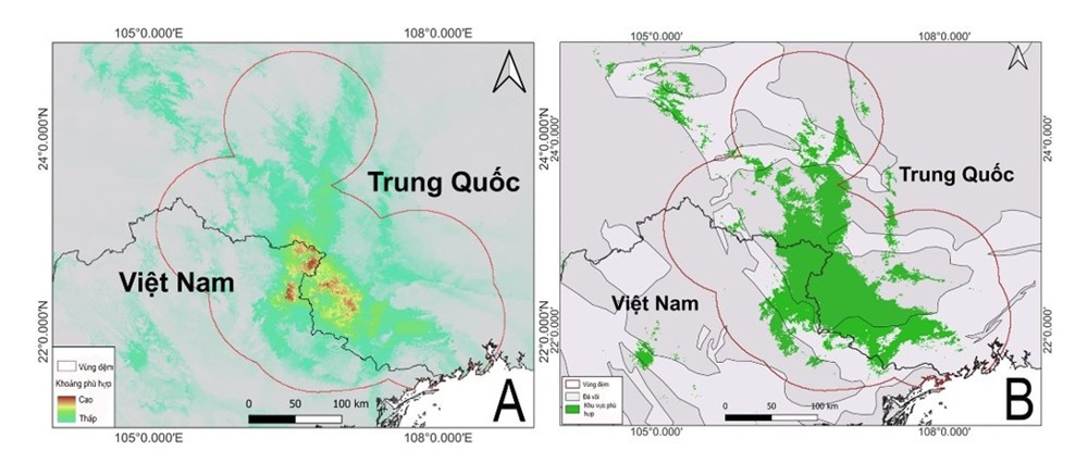 Việt Nam sở hữu 'báu vật' tự nhiên đang đứng trước nguy cơ bị xóa sổ, trên thế giới chỉ 2 nước có - ảnh 2