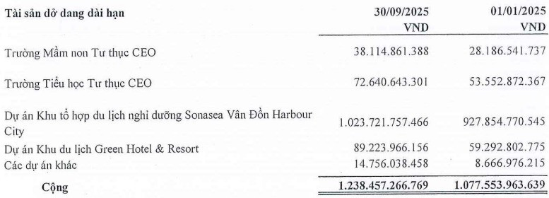 Doanh thu bất động sản chững lại, CEO Group vẫn tăng lãi nhờ tối ưu chi phí- Ảnh 2. Doanh thu bất động sản chững lại, CEO Group vẫn tăng lãi nhờ tối ưu chi phí- Ảnh 2.