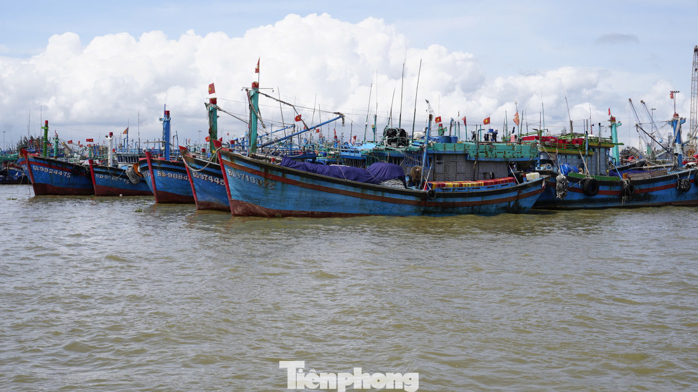 Lãnh đạo UBND tỉnh Gia Lai yêu cầu tiến hành kiểm đếm, kêu gọi tàu thuyền vào nơi tránh trú an toàn. Ảnh: Trương Định tp-3.jpg