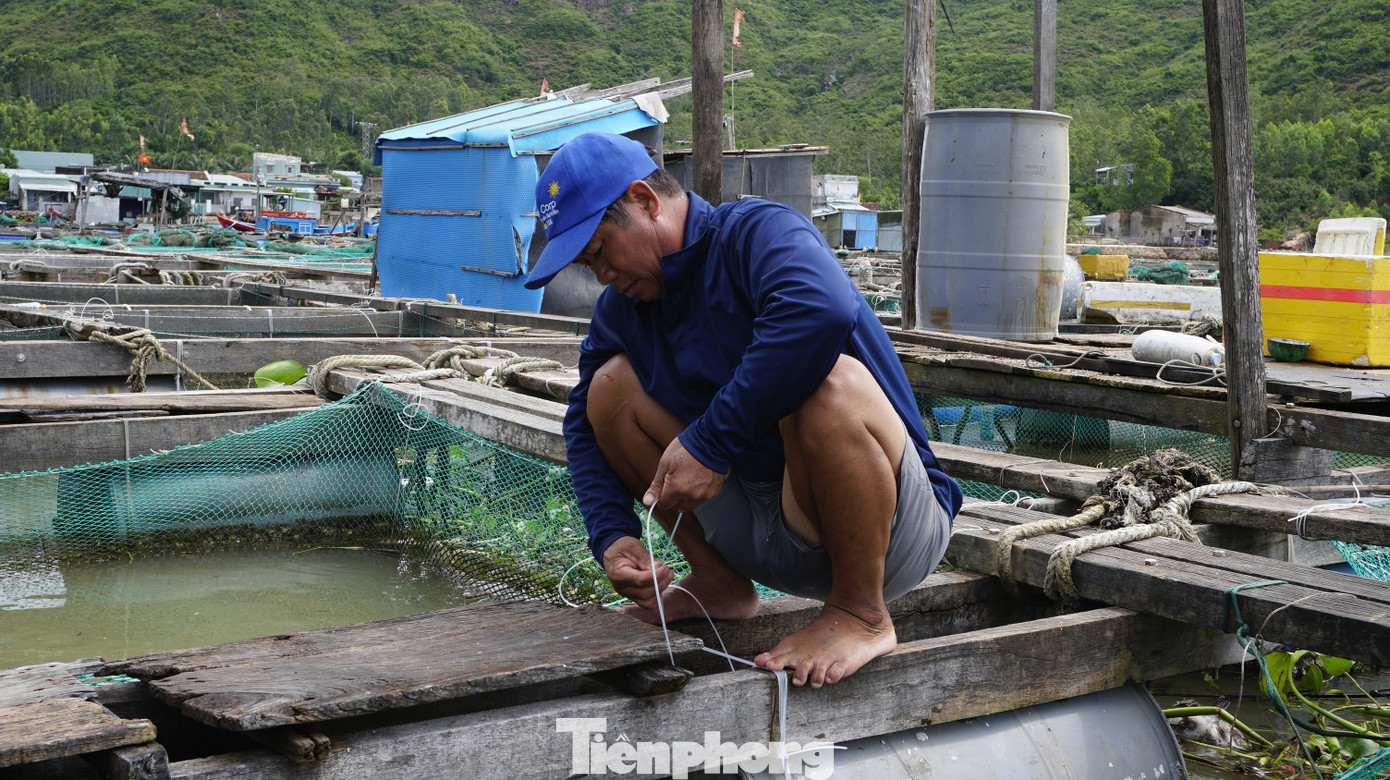 Người dân tiến hành gia cố lại lồng bè nuôi thủy sản để bảo vệ tài sản. Ảnh: Trương Định tp-4.jpg
