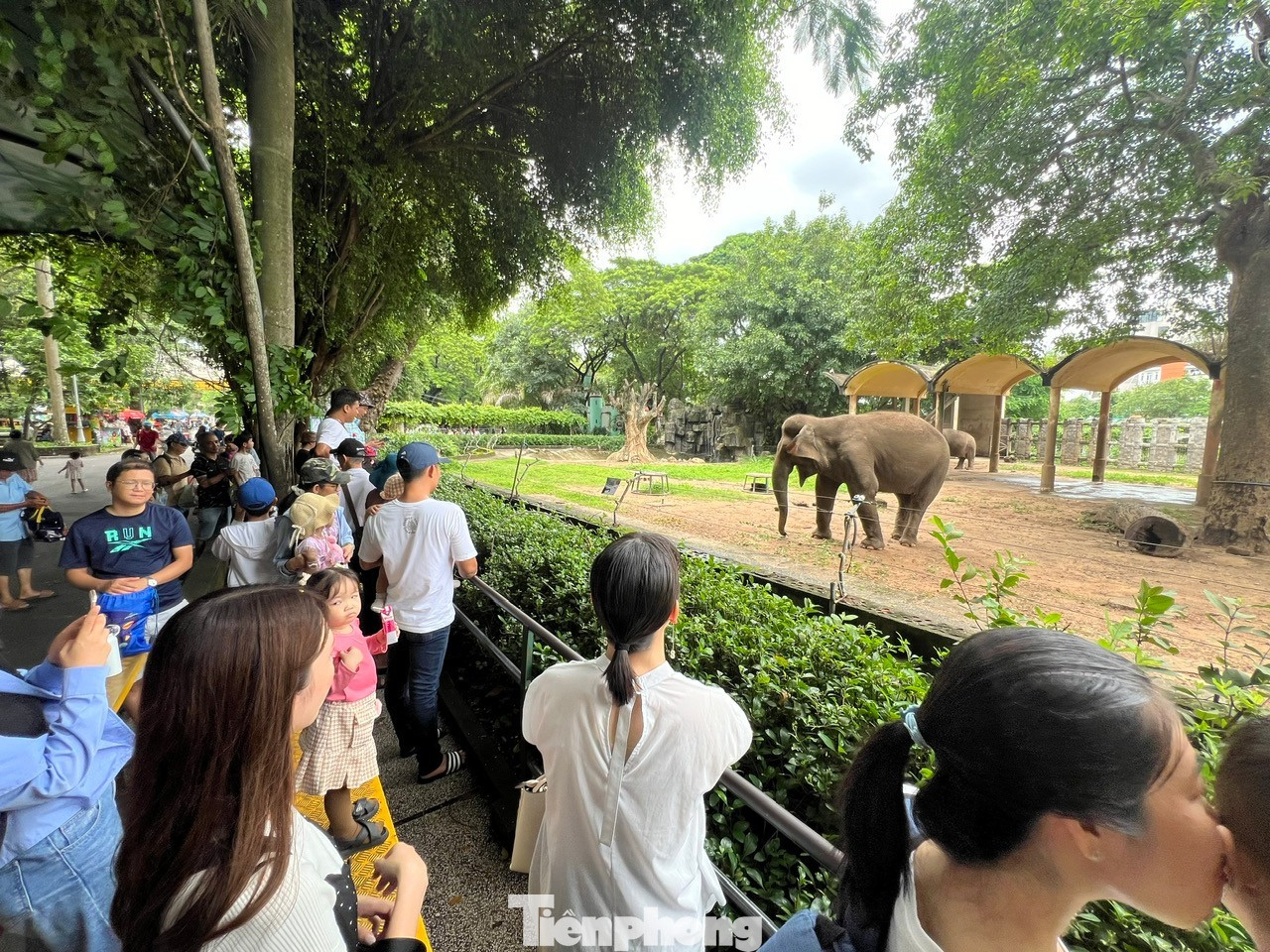 Vườn thú 160 năm tuổi này là điểm tham quan quen thuộc của người dân TPHCM. tp-so-thu-uyen-phuong-6.jpg