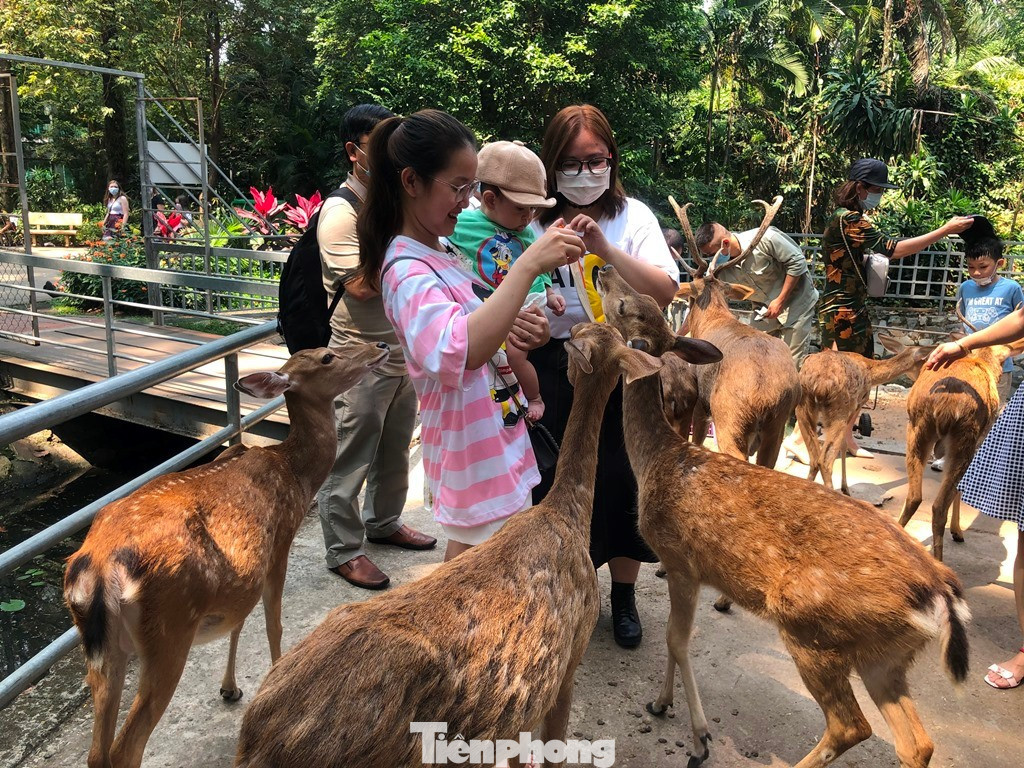 Trung bình mỗi ngày, Thảo Cầm Viên Sài Gòn đón hơn 5.500 lượt khách tp-tcv-uyen-phuong-3.jpg