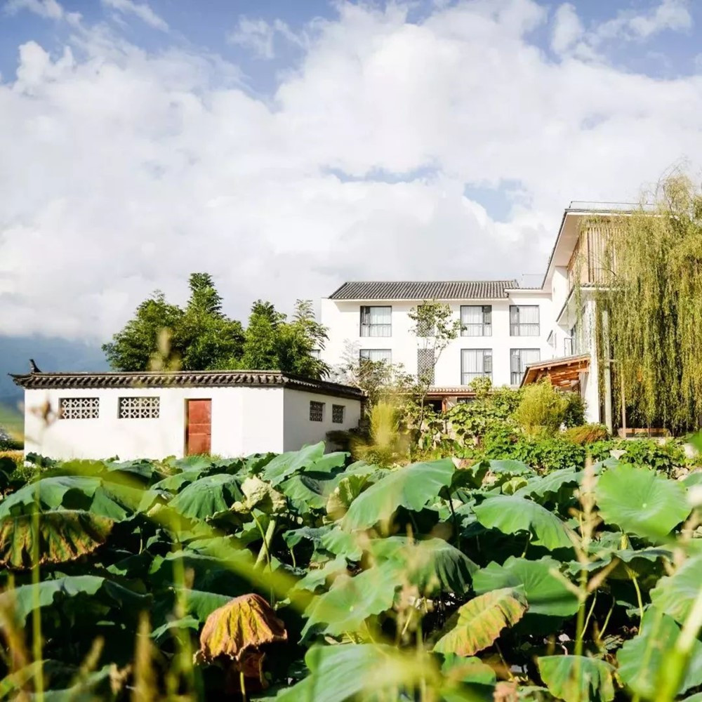 Bốn anh em ruột rủ nhau về quê xây nhà cho bố mẹ: Rộng 700m2 với 11 phòng, cách bố trí rất độc đáo, nghe lý do phía sau ai cũng nể phục - ảnh 5