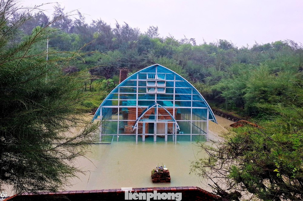 'Báu vật' 1.200 năm, từng xác lập kỷ lục thế giới của Việt Nam đối mặt với hư hại nặng do ngập nước kéo dài - ảnh 1