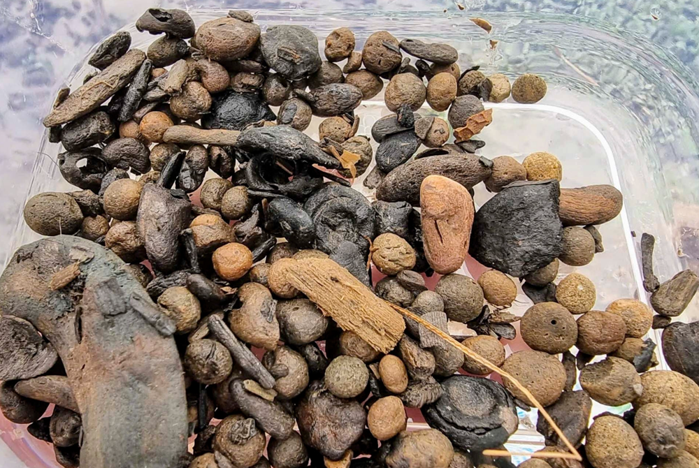 Đang cải tạo đất, lão nông phát hiện dấu tích ‘báu vật’ có hình thái lạ: Cơ quan chức năng lập tức khai quật khẩn cấp - ảnh 6