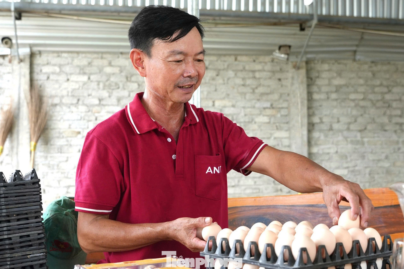 Ông Trần Xuân Sơn - nông dân Việt Nam xuất sắc năm 2025. tp-13-4843.jpg