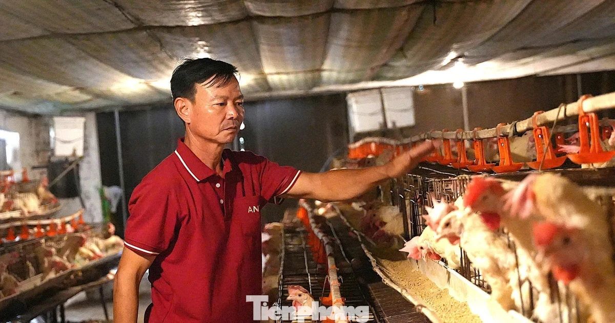 Chuyện về nông dân Việt Nam xuất sắc từng suýt phá sản, phải bán kỷ vật