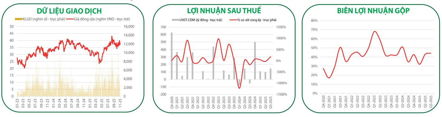 Các chỉ tiêu tài chính quan trọng của NLG (Ảnh VDSC)