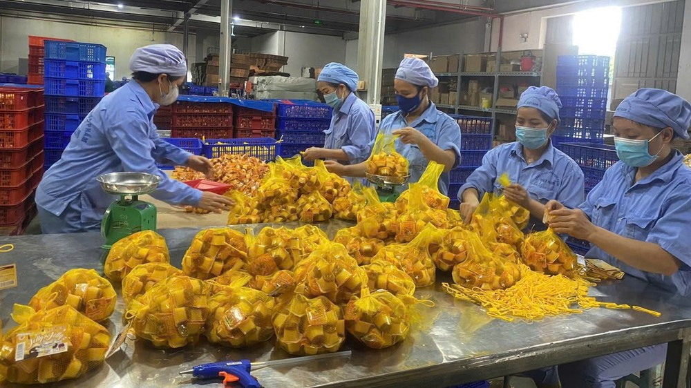 Từ 1/1/2026, chính thức tăng lương tối thiểu vùng - ảnh 2