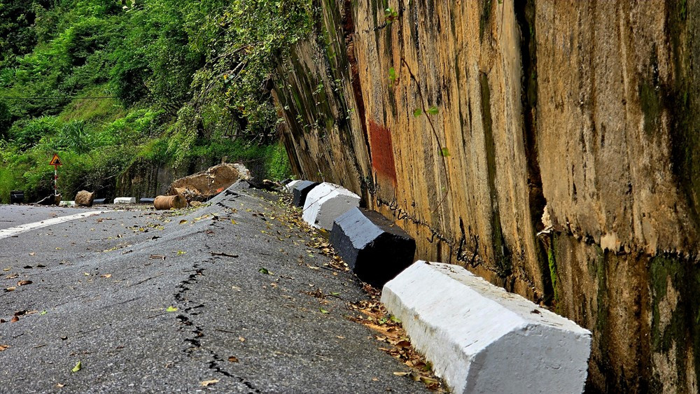 Phong tỏa nhiều điểm trên 'lá phổi xanh' của Đà Nẵng - ảnh 2