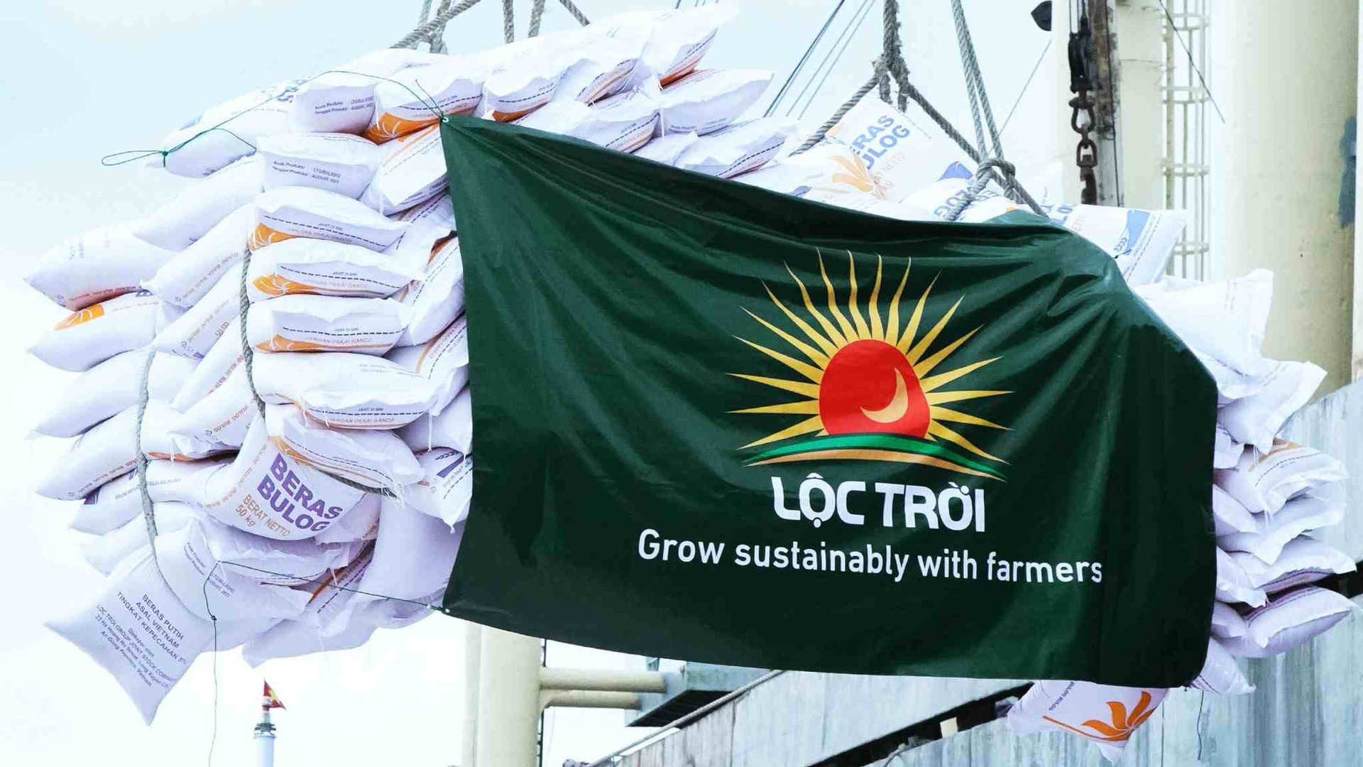 Lộc Trời (LTG) muốn vay 250 tỷ từ công ty con, tiếp tục tái cấu trúc sau khủng hoảng tài chính năm 2024