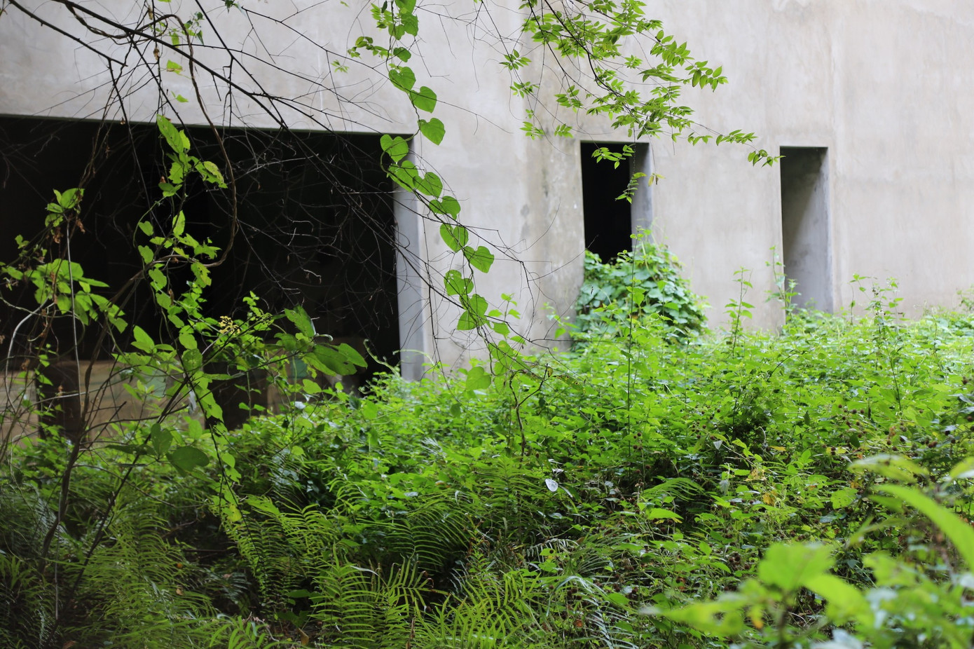 Thanh tra Chính phủ xác định, trong quá trình triển khai, liên danh nhà thầu không đảm bảo tỷ lệ hàng hóa Hungary (phải trên 50%). Khi dự án dừng thi công, chỉ có 1/123 thiết bị đạt xuất xứ Hungary (0,78%). Trách nhiệm việc này được xác định thuộc Liên danh nhà thầu (cung cấp thông tin sai lệch) và Sở Y tế Cần Thơ (chủ đầu tư), khi đã báo cáo sai tỷ lệ 50,07% hàng hóa Hungary. Ảnh: Nhiều hạng mục bệnh viện mới hoàn thành phần móng và khung bê tông, nay cỏ mọc um tùm. tien9859.jpg