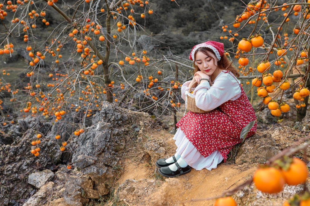 Cách trung tâm Hà Nội 200km có nơi được mệnh danh là 'Đà Lạt của miền Bắc', đang bước vào mùa hồng chín rực rỡ - ảnh 3