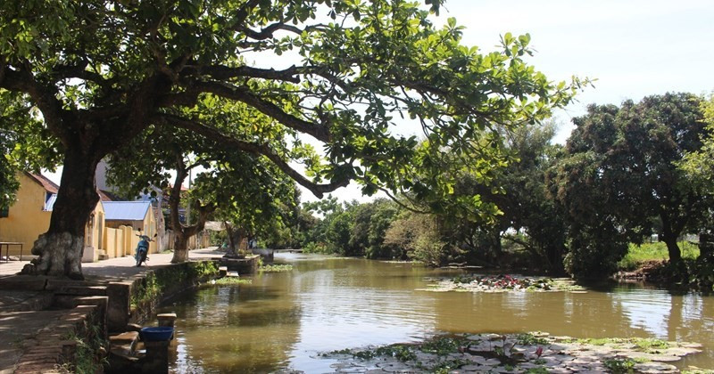 Cách Hà Nội hơn 100km, có ngôi làng cổ được hình thành từ thời vua Lý, sở hữu 'báu vật xanh' nghìn năm tuổi - ảnh 1