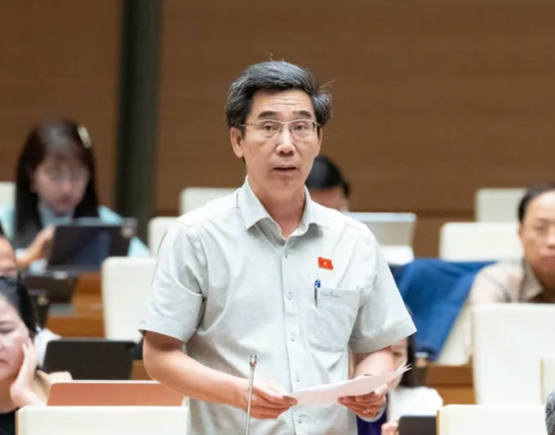 ĐBQH: Luật Thương mại điện tử cần bảo vệ các sàn của Việt Nam