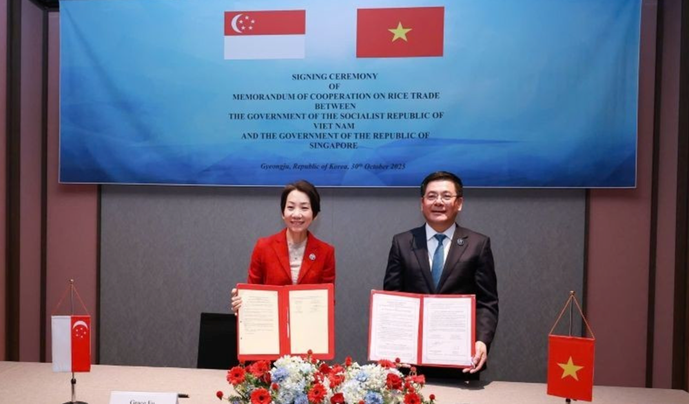 Quốc gia Đông Nam Á phải nhập khẩu 90% lương thực, liên tục chốt đơn hàng 'khủng' mua gạo từ Việt Nam và Thái Lan - ảnh 1