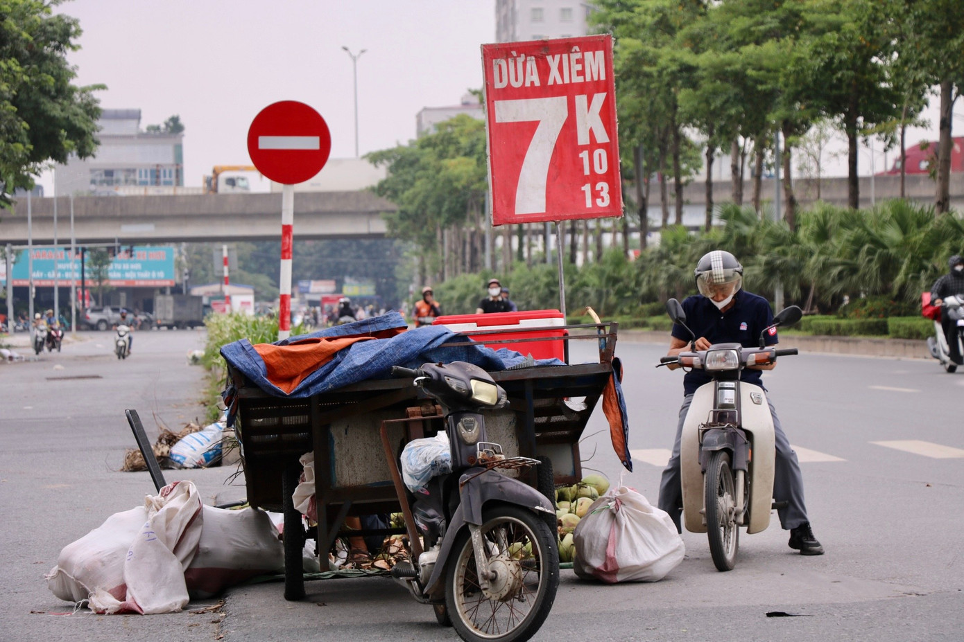 Dừa giảm giá sâu ở nhiều khu chợ, quầy hàng. img-9594.jpg