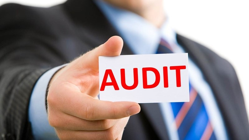 Dính loạt sai sót trọng yếu tại BCTC Thanh Lễ (TLP), UBCKNN đình chỉ tư cách hành nghề của hai kiểm toán viên