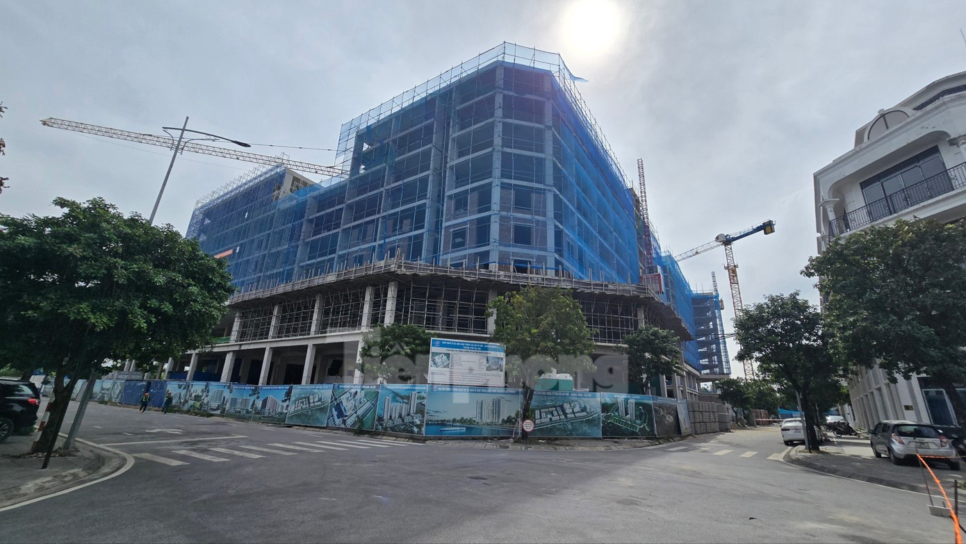 Các chuyên gia cho rằng, để giải quyết tận gốc tình trạng cảnh image-70.jpg