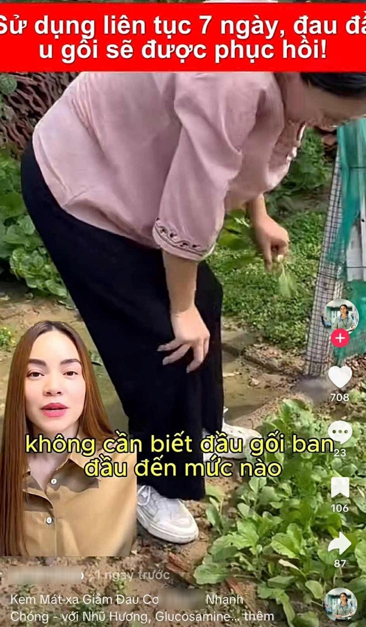 Loạt nghệ sĩ Việt cầu cứu - ảnh 2