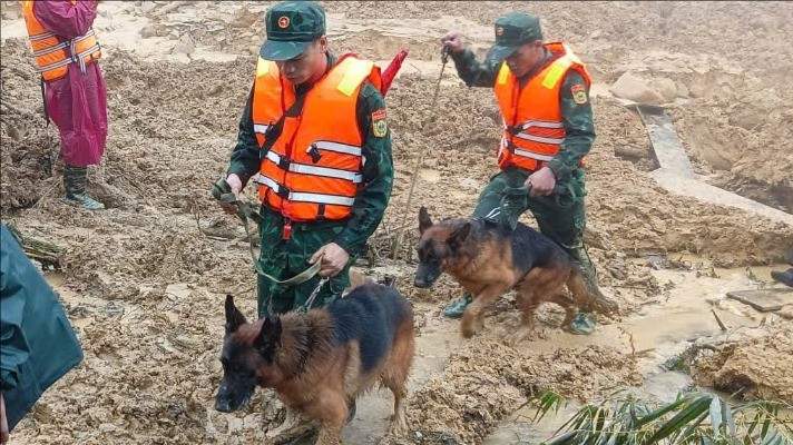 Đáng chú ý, các chó nghiệp vụ được huấn luyện đặc biệt cho công tác tìm kiếm cứu nạn cũng đã được tăng cường đến hiện trường. 1634688644816916229-2-7904.jpg