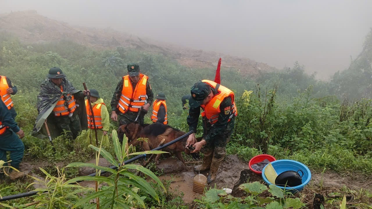 Bên cạnh việc dùng các phương tiện thông thường, Quân khu 5 đã sử dụng máy bay không người lái (flycam) để khảo sát và khoanh vùng tìm kiếm từ trên cao, nhằm nâng cao hiệu quả và rút ngắn thời gian cứu hộ. 1634688644816916229-3935.jpg