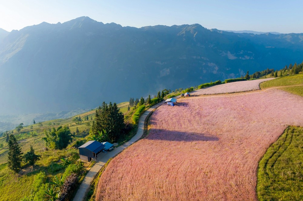 Nơi duy nhất của Việt Nam được tạp chí Anh vinh danh ‘đẹp nhất thế giới’, sở hữu thảo nguyên đẹp như Thụy Sĩ - ảnh 4