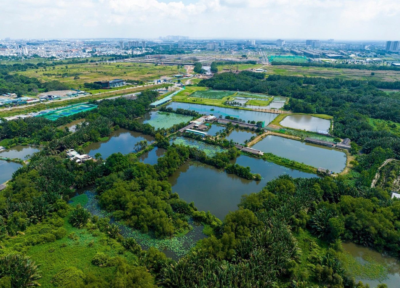 TP giàu nhất Việt Nam sắp khởi công tổ hợp thể thao 15.000 tỷ theo tiêu chuẩn quốc tế, có sân vận động 50.000 chỗ tích hợp- Ảnh 1.