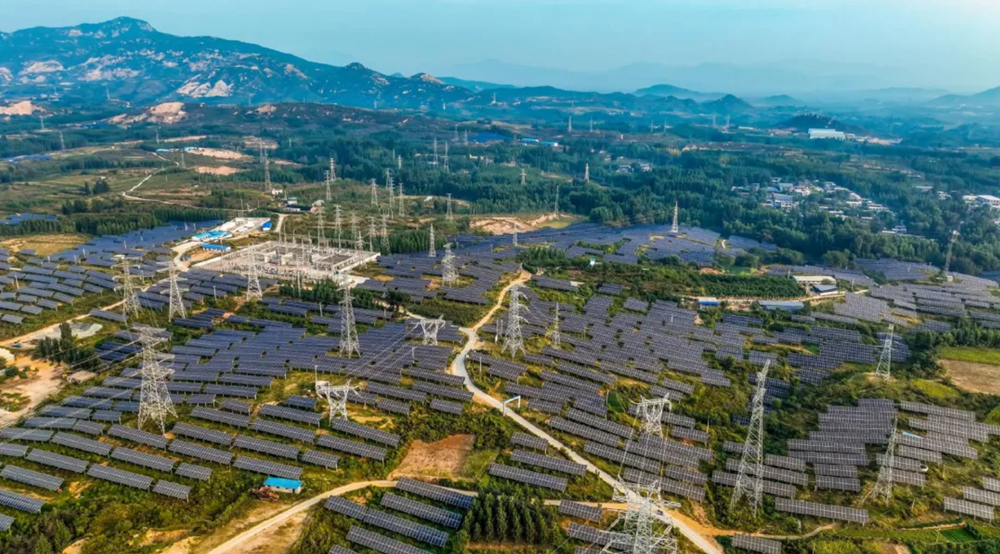 Ngôi làng nghèo bán 1.800 tấn 'kho báu', đổi đời nhờ ‘ngân hàng xanh’ - ảnh 1