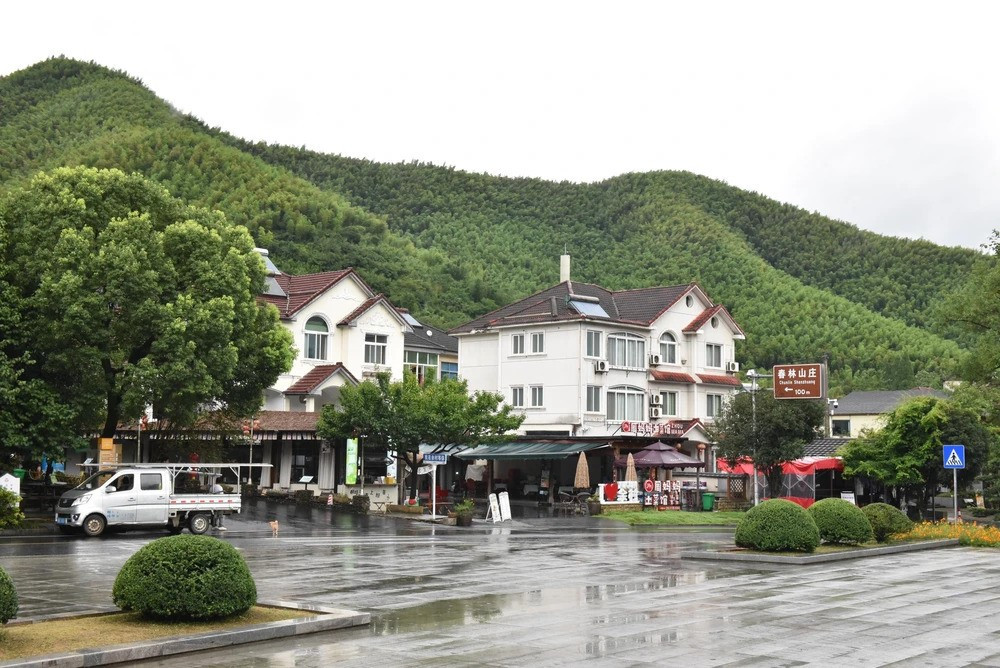 Ngôi làng nghèo bán 1.800 tấn 'kho báu', đổi đời nhờ ‘ngân hàng xanh’ - ảnh 4