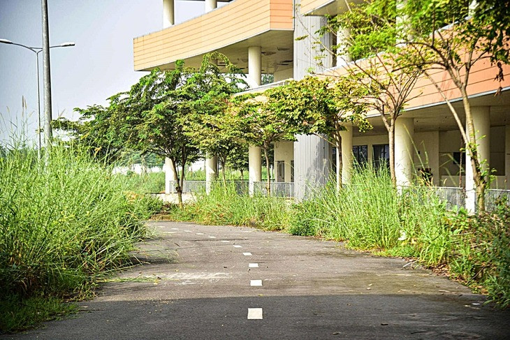 Bệnh viện đa khoa 1.500 giường lớn nhất TP. HCM sau 10 năm xây dựng dự kiến vận hành năm 2026- Ảnh 1. Bệnh viện đa khoa 1.500 giường lớn nhất TP. HCM sau 10 năm xây dựng dự kiến vận hành năm 2026- Ảnh 1.