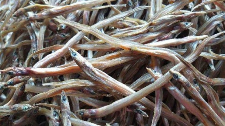 1-1763438333-763-width740height416 (1)