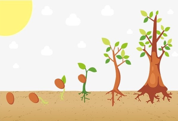 HoSE sắp ra mắt rổ chỉ số mới, nhắm đến doanh nghiệp trả cổ tức tiền mặt 3 năm liên tục